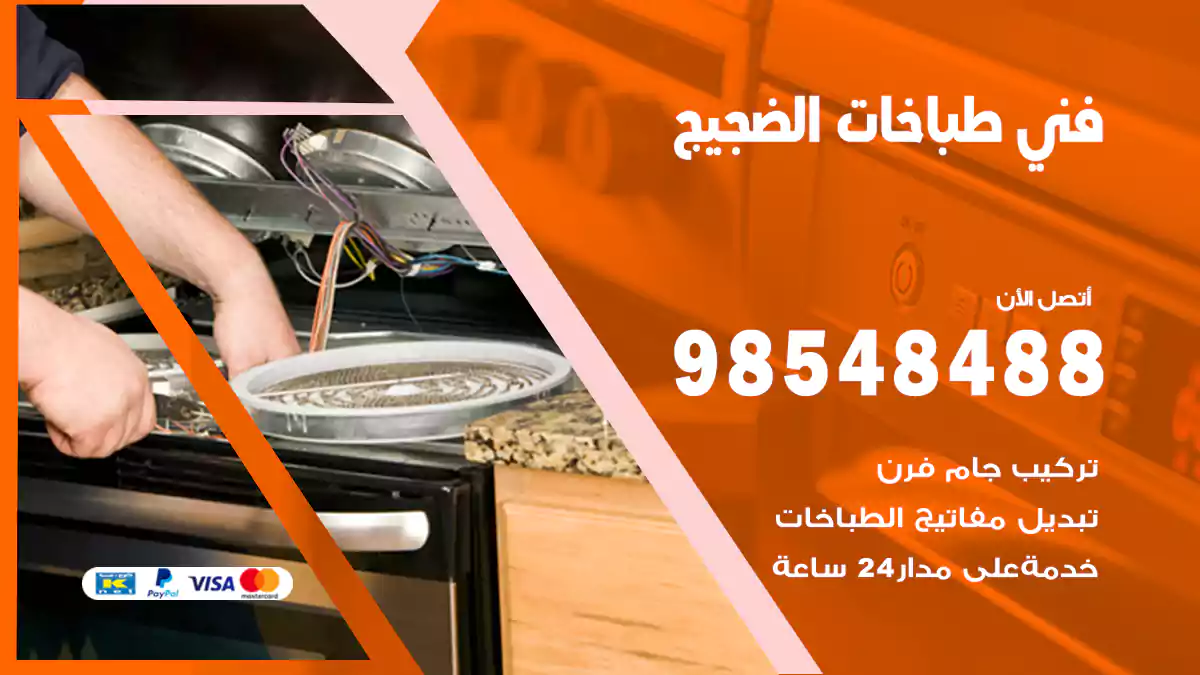 فني طباخات الضجيج