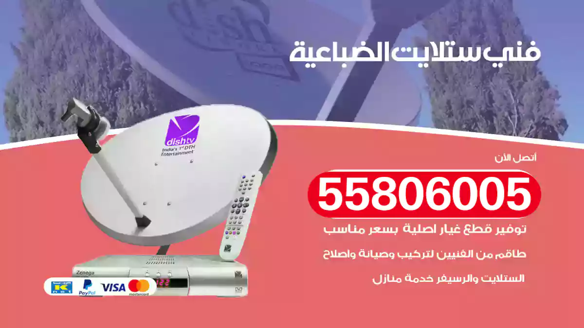 فني ستلايت الضباعية