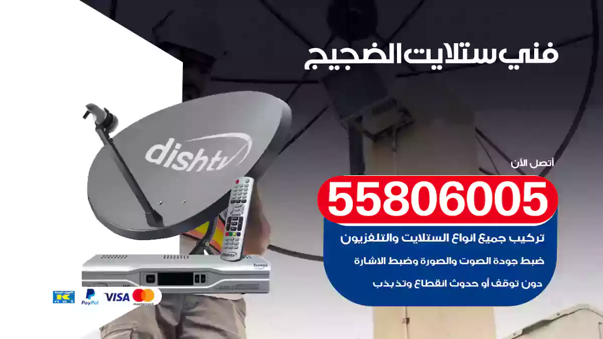 فني ستلايت الضجيج