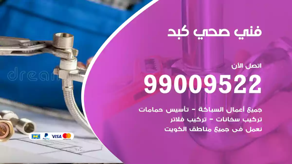 فني صحي كبد