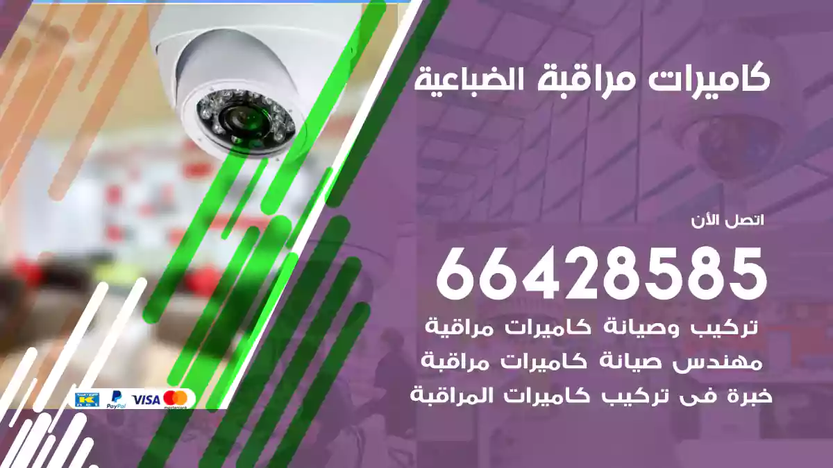 كاميرات مراقبة الضباعية