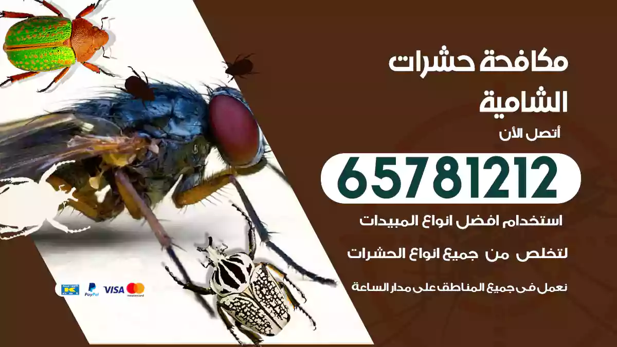مكافحة حشرات الشامية