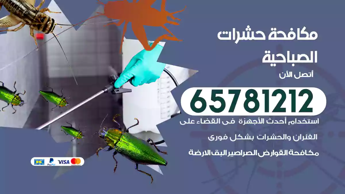 مكافحة حشرات الصباحية