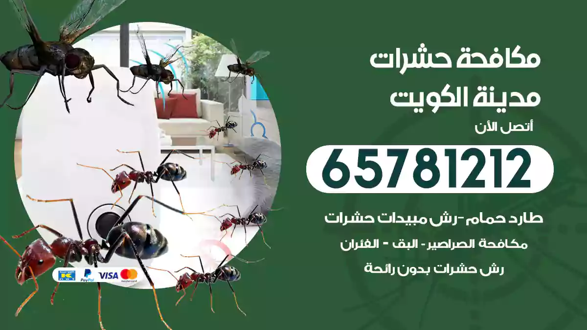 مكافحة حشرات مدينة الكويت